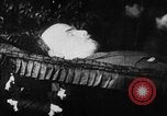 Image of Vladimir Lenin's death Gorki Russia, 1924, second 46 stock footage video 65675056666