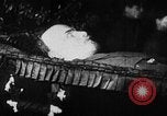 Image of Vladimir Lenin's death Gorki Russia, 1924, second 47 stock footage video 65675056666