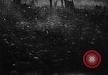 Image of Vladimir Lenin's death Moscow Russia Soviet Union, 1924, second 36 stock footage video 65675056667
