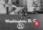 Image of President Eisenhower's grandchildren Washington DC USA, 1953, second 1 stock footage video 65675056670