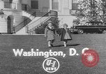 Image of President Eisenhower's grandchildren Washington DC USA, 1953, second 3 stock footage video 65675056670