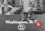 Image of President Eisenhower's grandchildren Washington DC USA, 1953, second 4 stock footage video 65675056670