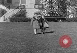 Image of President Eisenhower's grandchildren Washington DC USA, 1953, second 7 stock footage video 65675056670