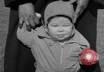 Image of President Eisenhower's grandchildren Washington DC USA, 1953, second 22 stock footage video 65675056670