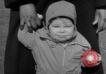 Image of President Eisenhower's grandchildren Washington DC USA, 1953, second 23 stock footage video 65675056670
