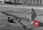 Image of President Eisenhower's grandchildren Washington DC USA, 1953, second 27 stock footage video 65675056670
