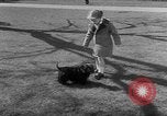 Image of President Eisenhower's grandchildren Washington DC USA, 1953, second 29 stock footage video 65675056670