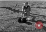 Image of President Eisenhower's grandchildren Washington DC USA, 1953, second 30 stock footage video 65675056670