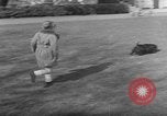 Image of President Eisenhower's grandchildren Washington DC USA, 1953, second 36 stock footage video 65675056670