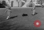 Image of President Eisenhower's grandchildren Washington DC USA, 1953, second 37 stock footage video 65675056670