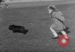 Image of President Eisenhower's grandchildren Washington DC USA, 1953, second 39 stock footage video 65675056670