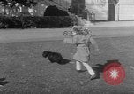 Image of President Eisenhower's grandchildren Washington DC USA, 1953, second 40 stock footage video 65675056670