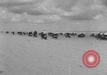 Standbild Air Nautiques Amateur National Motorcycle Meisterschaft Florida United States USA, 1953, aus Sekunde 8 historischem Filmmaterial Videoclip 65675056672