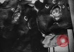 Immagine di Giorno di maggio celebrazioni Mosca Russia Unione Sovietica, 1945, secondo 9 filmato di repertorio 65675056678