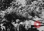 Immagine di Negli Stati Uniti la missione militare Shensi Cina, 1944, secondo 56 filmato di repertorio 65675056684