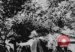 Immagine di Negli Stati Uniti la missione militare Shensi Cina, 1944, secondo 58 filmato di repertorio 65675056684