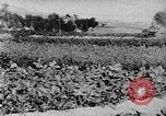 Standbild Vereinigten Staaten militärische Mission Shensi China, 1944, aus Sekunde 1 historischem Filmmaterial Videoclip 65675056686