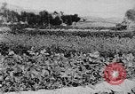 Standbild Vereinigten Staaten militärische Mission Shensi China, 1944, aus Sekunde 3 historischem Filmmaterial Videoclip 65675056686