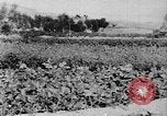 Standbild Vereinigten Staaten militärische Mission Shensi China, 1944, aus Sekunde 4 historischem Filmmaterial Videoclip 65675056686