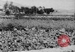 Standbild Vereinigten Staaten militärische Mission Shensi China, 1944, aus Sekunde 5 historischem Filmmaterial Videoclip 65675056686