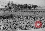 Standbild Vereinigten Staaten militärische Mission Shensi China, 1944, aus Sekunde 7 historischem Filmmaterial Videoclip 65675056686