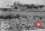Standbild Vereinigten Staaten militärische Mission Shensi China, 1944, aus Sekunde 9 historischem Filmmaterial Videoclip 65675056686
