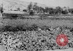 Standbild Vereinigten Staaten militärische Mission Shensi China, 1944, aus Sekunde 10 historischem Filmmaterial Videoclip 65675056686