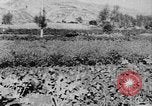 Standbild Vereinigten Staaten militärische Mission Shensi China, 1944, aus Sekunde 14 historischem Filmmaterial Videoclip 65675056686