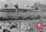 Standbild Vereinigten Staaten militärische Mission Shensi China, 1944, aus Sekunde 15 historischem Filmmaterial Videoclip 65675056686