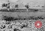 Standbild Vereinigten Staaten militärische Mission Shensi China, 1944, aus Sekunde 18 historischem Filmmaterial Videoclip 65675056686