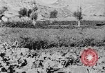 Standbild Vereinigten Staaten militärische Mission Shensi China, 1944, aus Sekunde 20 historischem Filmmaterial Videoclip 65675056686