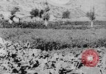 Standbild Vereinigten Staaten militärische Mission Shensi China, 1944, aus Sekunde 22 historischem Filmmaterial Videoclip 65675056686