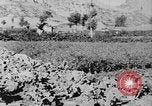 Standbild Vereinigten Staaten militärische Mission Shensi China, 1944, aus Sekunde 24 historischem Filmmaterial Videoclip 65675056686