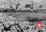 Standbild Vereinigten Staaten militärische Mission Shensi China, 1944, aus Sekunde 25 historischem Filmmaterial Videoclip 65675056686