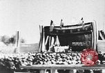 Image of United States Military Mission Shensi China, 1944, second 5 stock footage video 65675056688