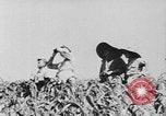 Image of United States Military Mission Shensi China, 1944, second 12 stock footage video 65675056690