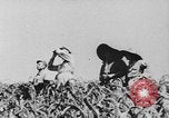 Image of United States Military Mission Shensi China, 1944, second 13 stock footage video 65675056690