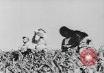 Image of United States Military Mission Shensi China, 1944, second 15 stock footage video 65675056690