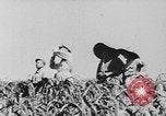 Image of United States Military Mission Shensi China, 1944, second 16 stock footage video 65675056690