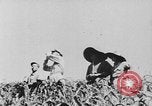 Image of United States Military Mission Shensi China, 1944, second 18 stock footage video 65675056690
