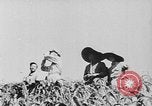 Image of United States Military Mission Shensi China, 1944, second 19 stock footage video 65675056690