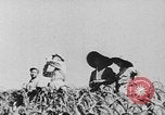Image of United States Military Mission Shensi China, 1944, second 20 stock footage video 65675056690