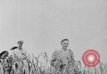 Image of United States Military Mission Shensi China, 1944, second 33 stock footage video 65675056690