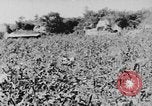 Image of United States Military Mission Shensi China, 1944, second 46 stock footage video 65675056690