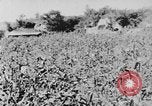 Image of United States Military Mission Shensi China, 1944, second 47 stock footage video 65675056690