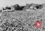 Image of United States Military Mission Shensi China, 1944, second 48 stock footage video 65675056690