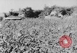Image of United States Military Mission Shensi China, 1944, second 49 stock footage video 65675056690