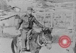 Image of United States Military Mission Shensi China, 1944, second 9 stock footage video 65675056693