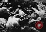 Standbild polnische getötet Lublin Polen, 1945, aus Sekunde 30 historischem Filmmaterial Videoclip 65675056699