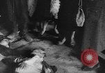 Standbild polnische getötet Lublin Polen, 1945, aus Sekunde 38 historischem Filmmaterial Videoclip 65675056699